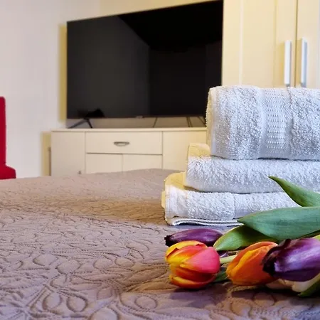 Stradun In The Heart Of Old