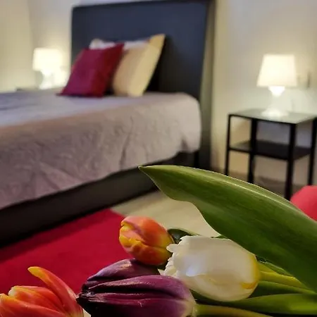 Stradun In The Heart Of Old Appartement