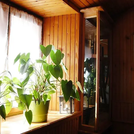 Stradun In The Heart Of Old