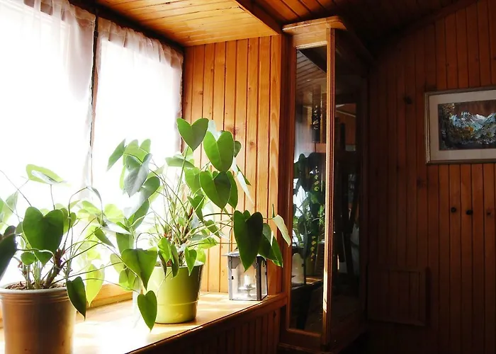 Stradun In The Heart Of Old