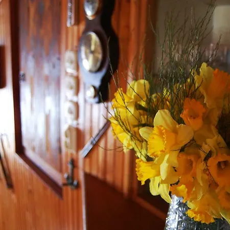 Stradun In The Heart Of Old *